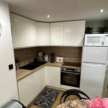Le Briand 4etoiles Thermal Cosy Avec Terrasse Wifi Apartament *