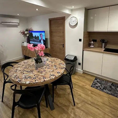 Le Briand 4etoiles Thermal Cosy Avec Terrasse Wifi Apartament