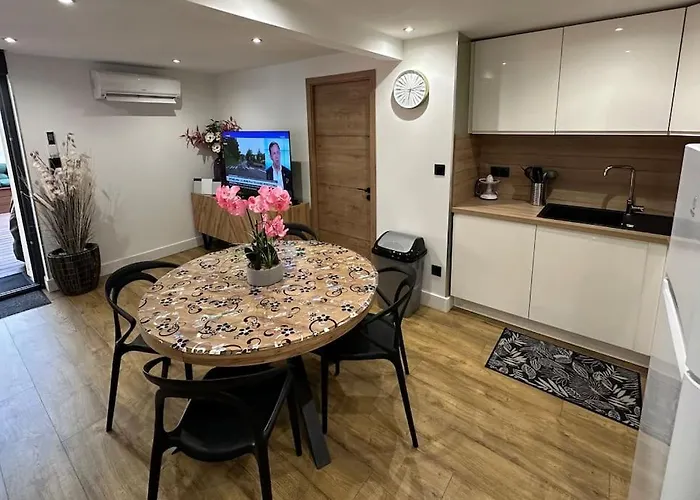 Le Briand 4etoiles Thermal Cosy Avec Terrasse Wifi Apartment