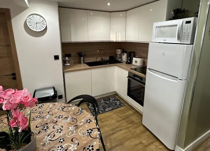 Apartment Le Briand 4etoiles Thermal Cosy Avec Terrasse Wifi Nancy