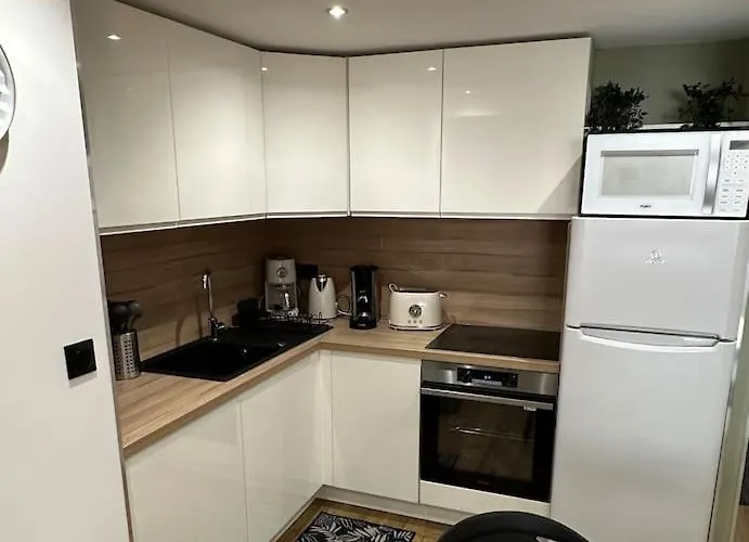 Le Briand 4etoiles Thermal Cosy Avec Terrasse Wifi Nancy