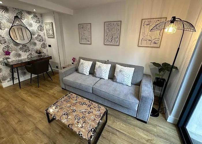 Apartment Le Briand 4etoiles Thermal Cosy Avec Terrasse Wifi Nancy