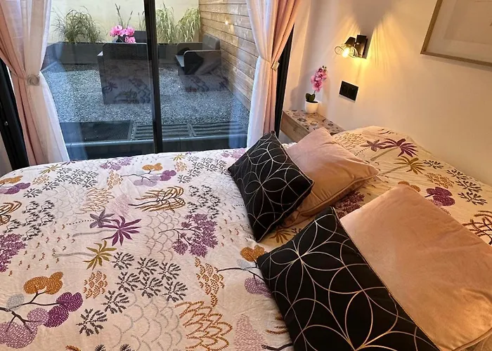 Le Briand 4etoiles Thermal Cosy Avec Terrasse Wifi Apartment Nancy