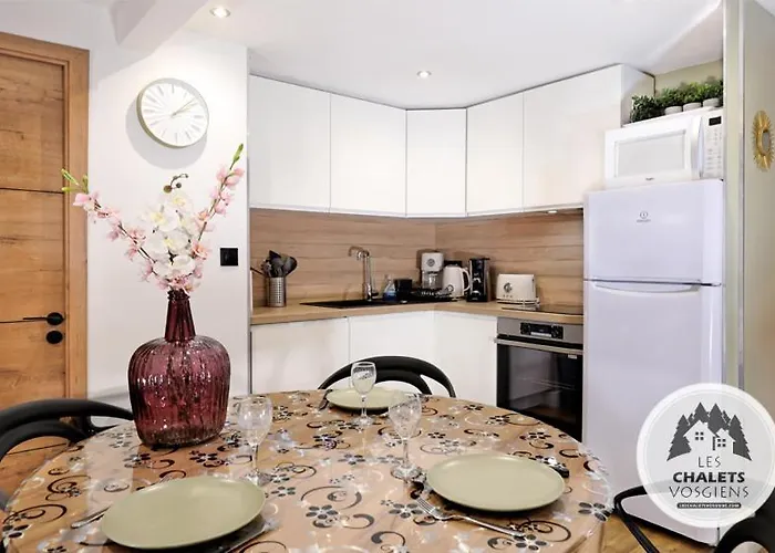 Apartment Le Briand 4etoiles Thermal Cosy Avec Terrasse Wifi Nancy